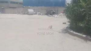 58mill Bank Loan Warehouse for Sale at Kality