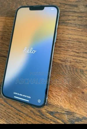 Photo - New Apple iPhone 13 Pro Max 256 GB Silver