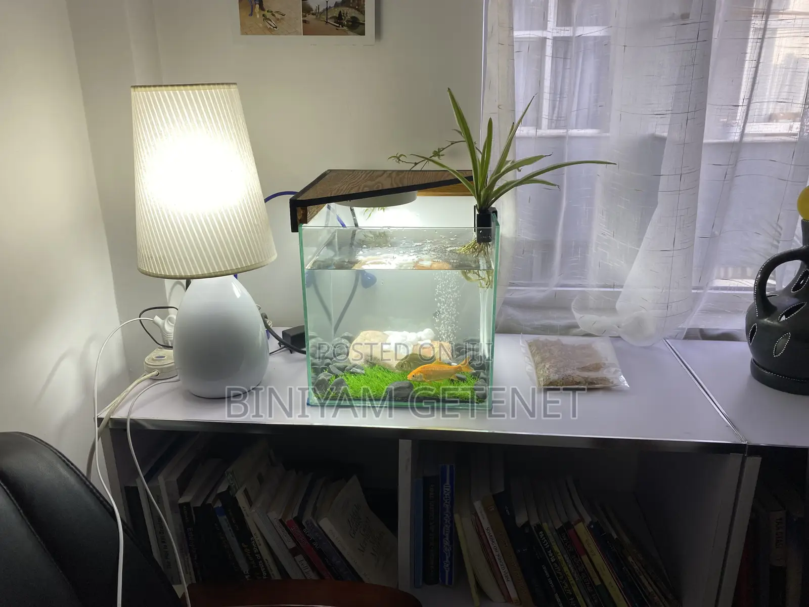 Fish Tank (Aquarium)