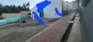 የሚሸጥ ትምርት ቤት