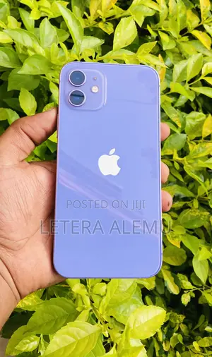 Apple iPhone 12 128 GB Purple
