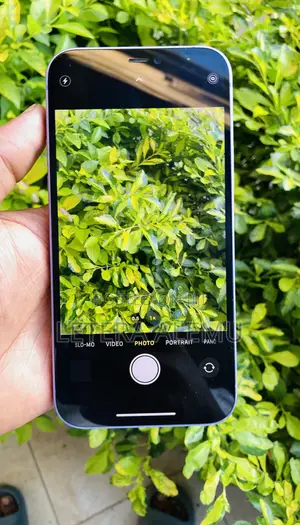 Apple iPhone 12 128 GB Purple