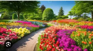 Plot for Sale Bole Denbel Area