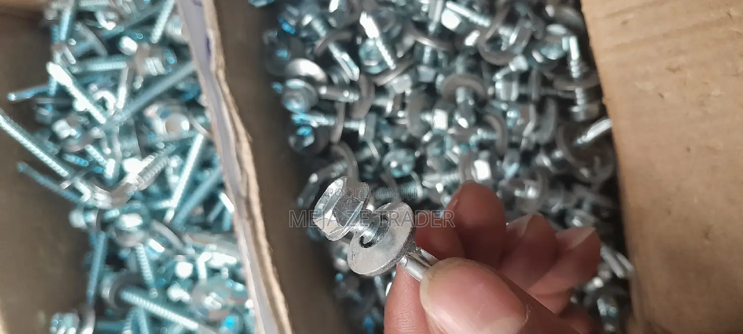 Self Drilling Screw