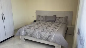 Furnished 3bdrm Apartment in Apartments, Bole for rent