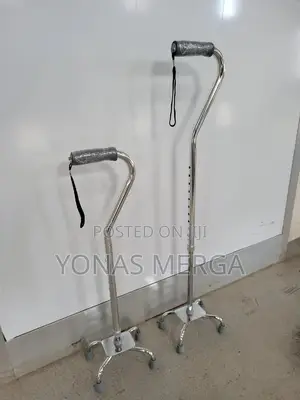 Photo - Wlakiwalking_aid፮∆Walking Stick够፮needs of D/T Height Groups