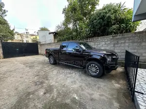 Ford F-150 2020 Brown