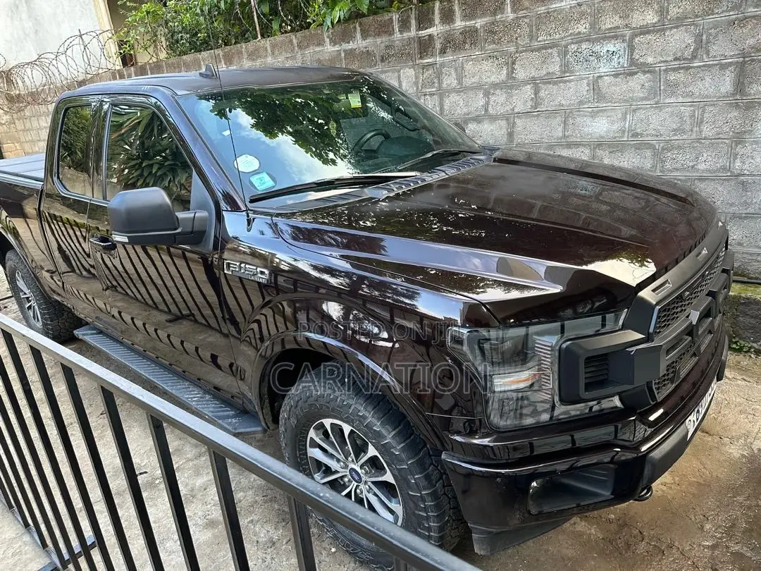 Ford F-150 2020 Brown