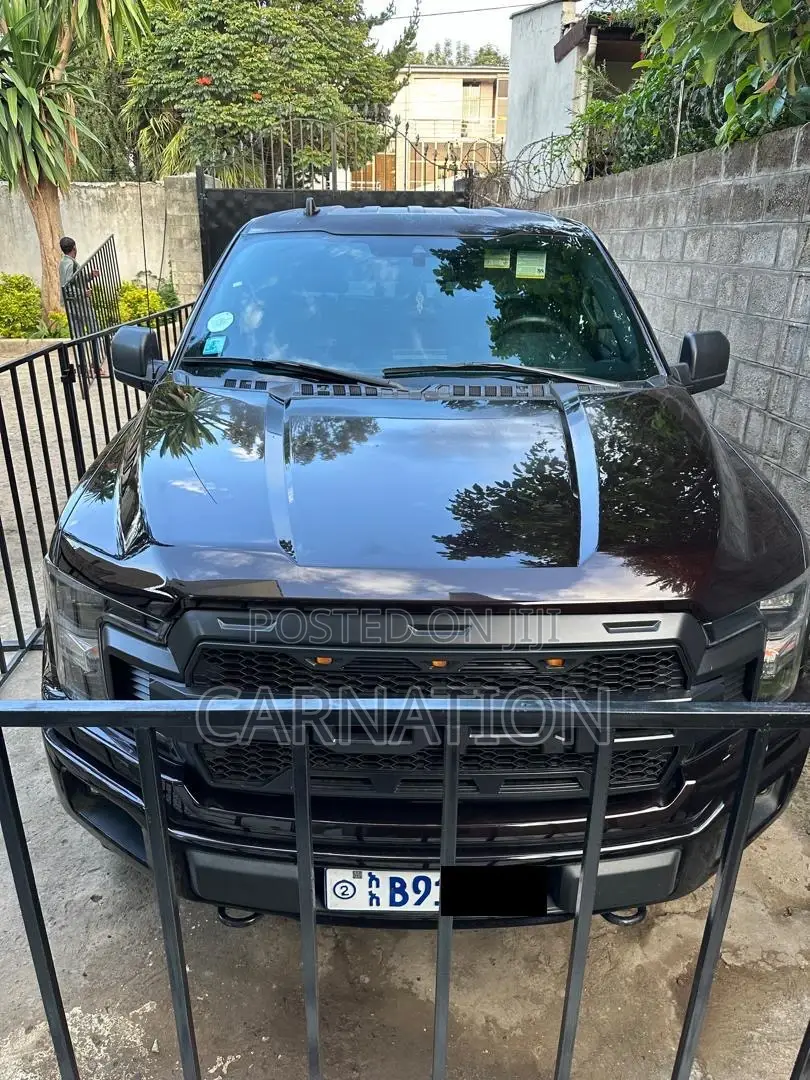 Ford F-150 2020 Brown