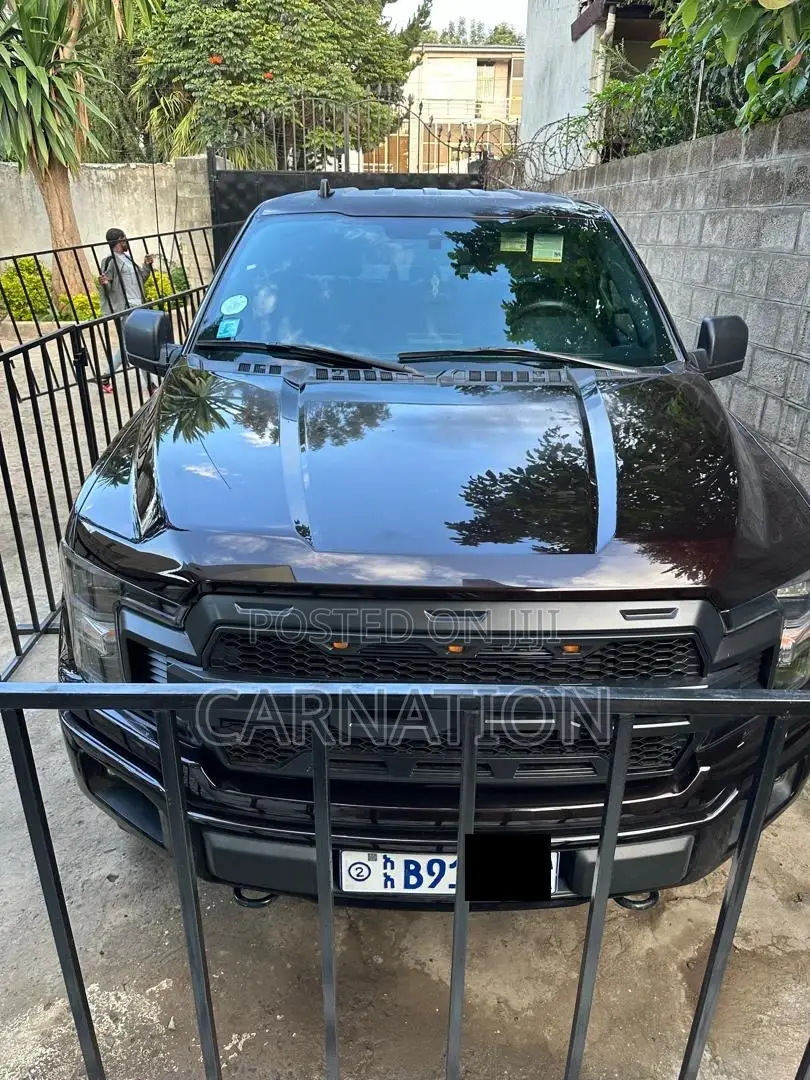 Ford F-150 2020 Brown