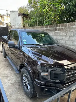 Photo - Ford F-150 2020 Brown