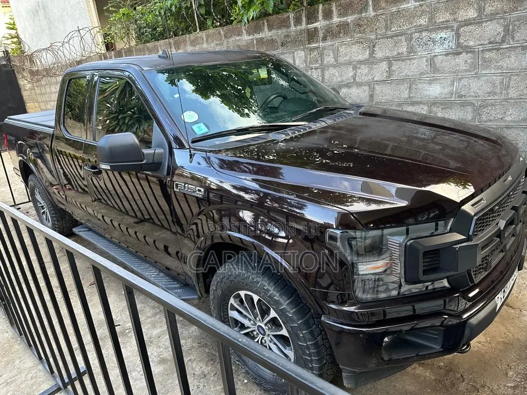 Ford F-150 2020 Brown