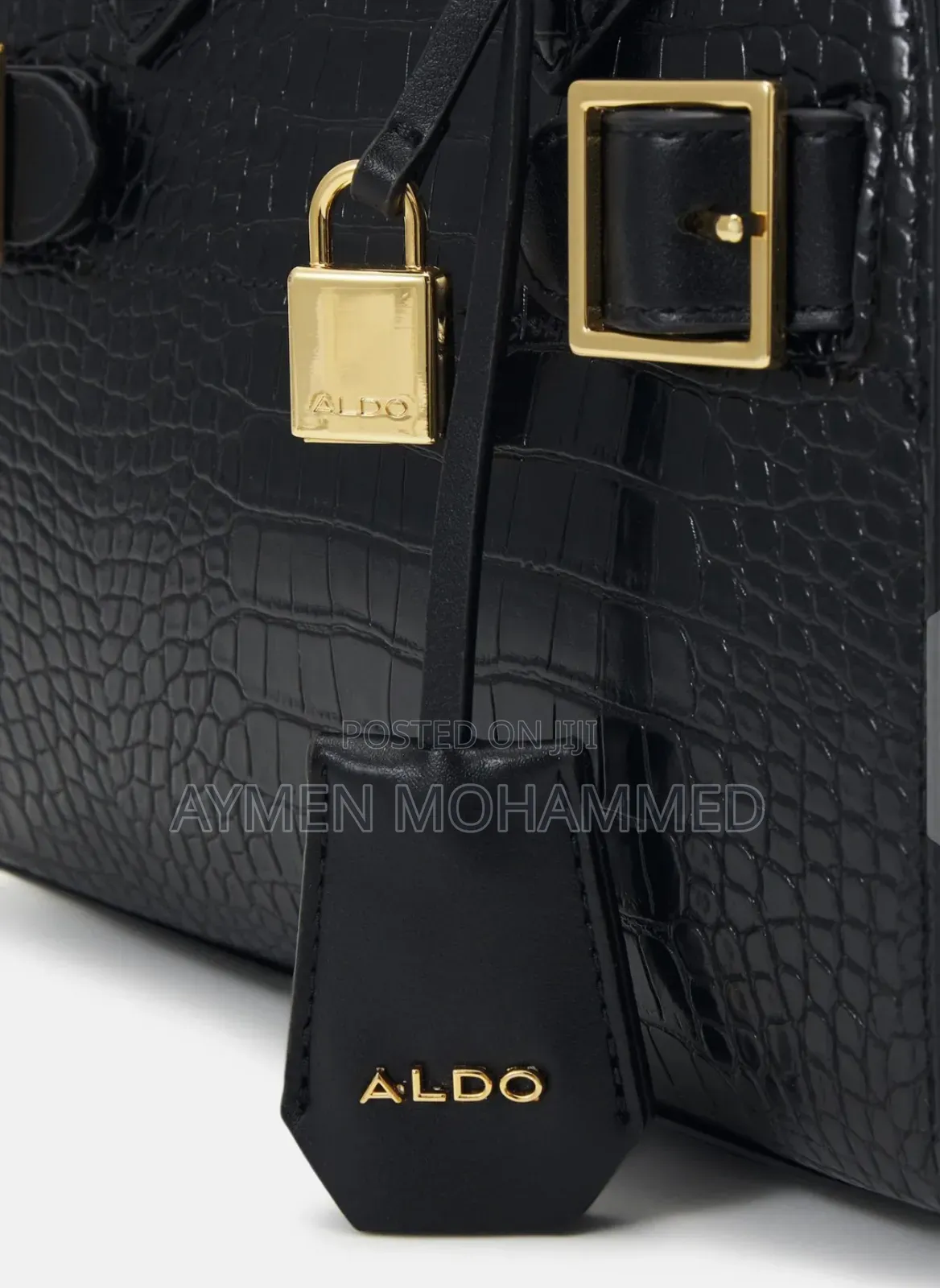 Aldo Handbag