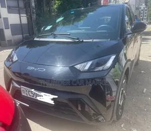 BYD Seagull 2024 Black