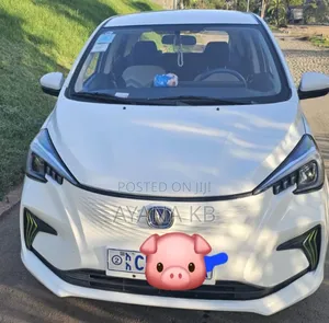 Photo - Changan BenBen E-Star 2023 White