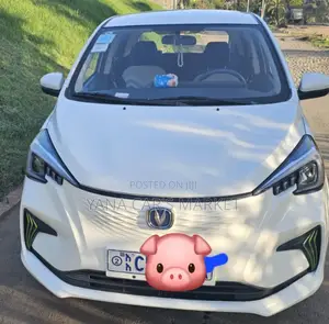Changan BenBen E-Star 2023 White