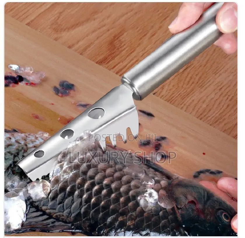 የአሳ መፈቅፈቂያ ወይም መላጫ ቢለዋ