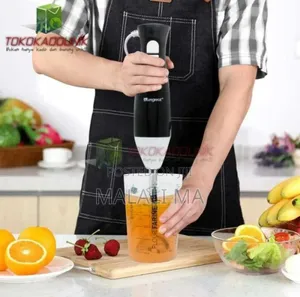 2in 1 Hand Blender