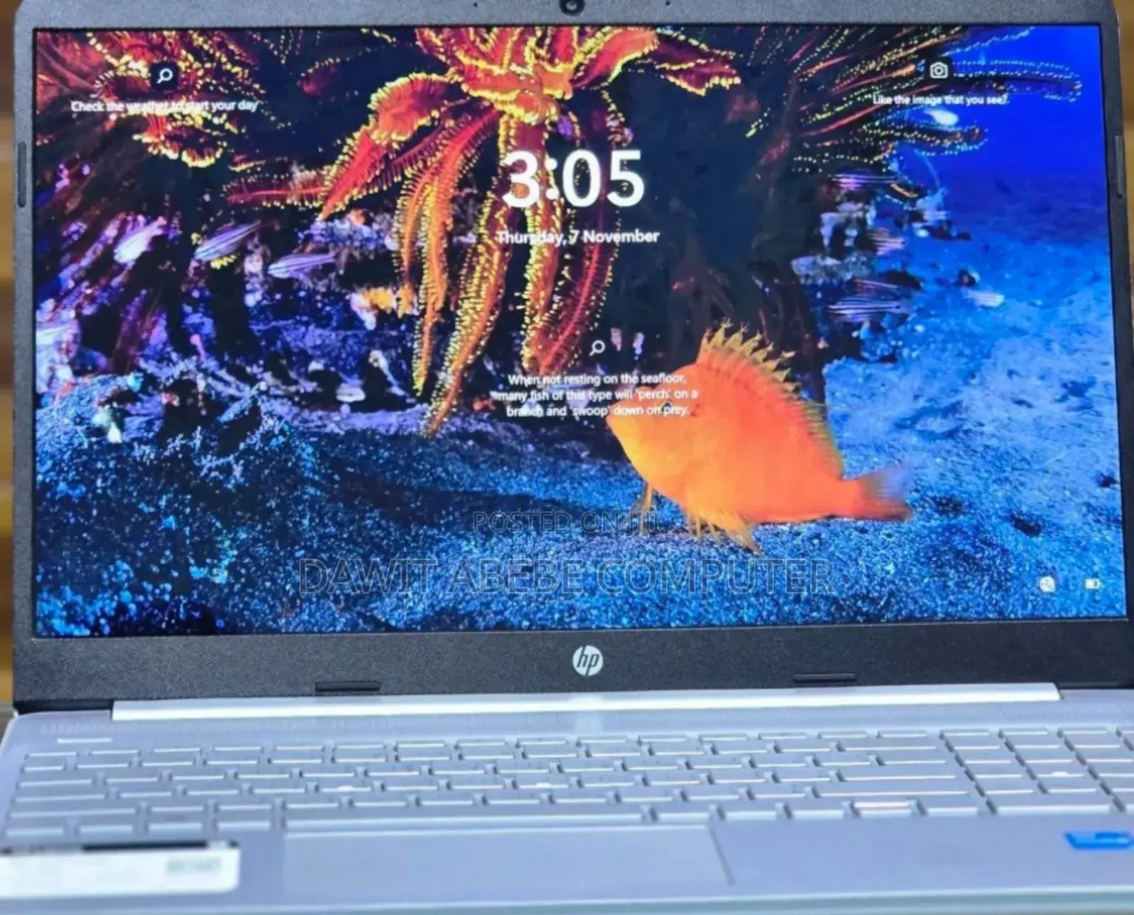 New Laptop HP Stream Notebook 8GB Intel Core I3 SSD 256GB