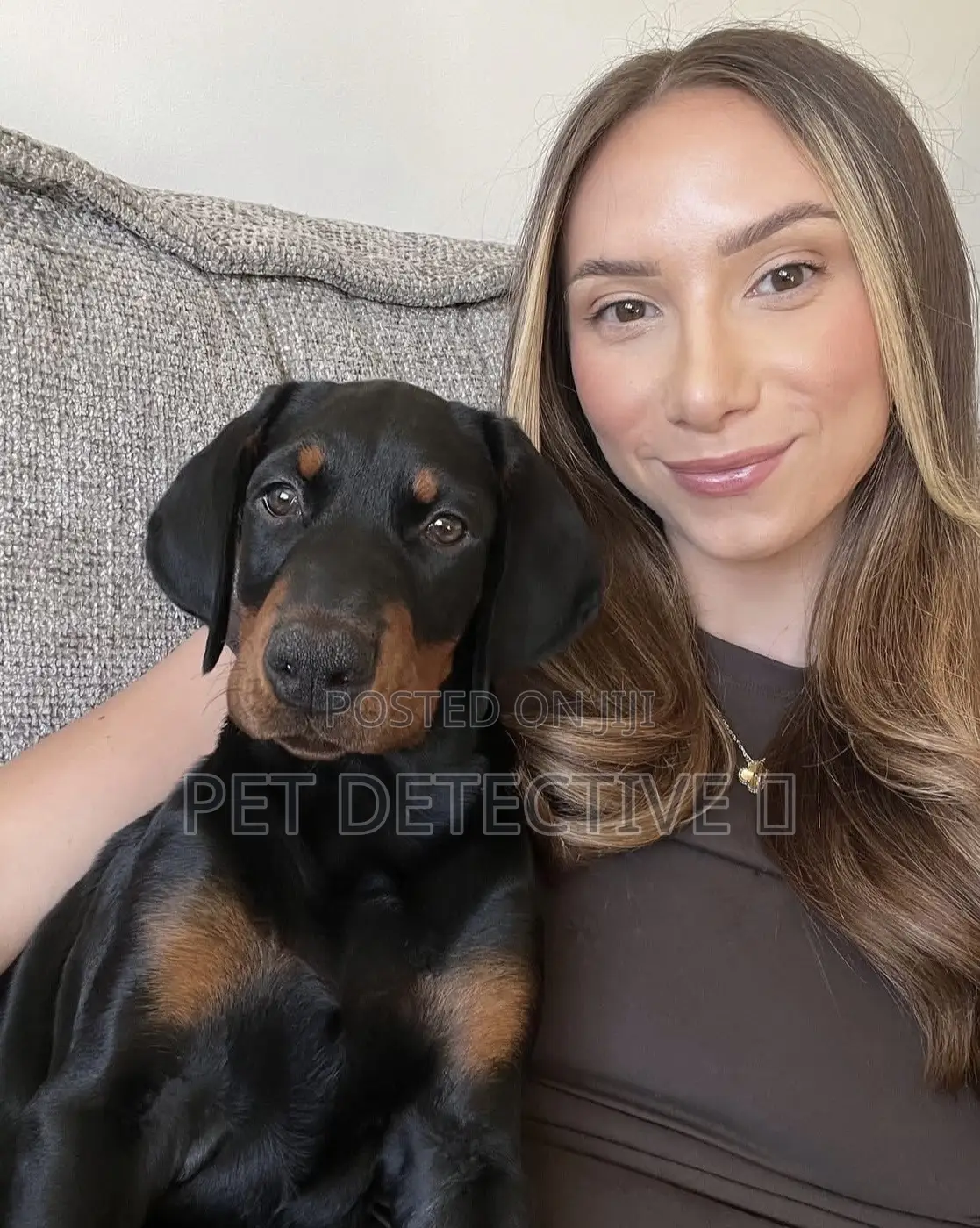 1-3 months Male Purebred Doberman Pinscher