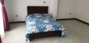 Photo - Furnished 3bdrm Apartment in Apartments, Yeka for rent