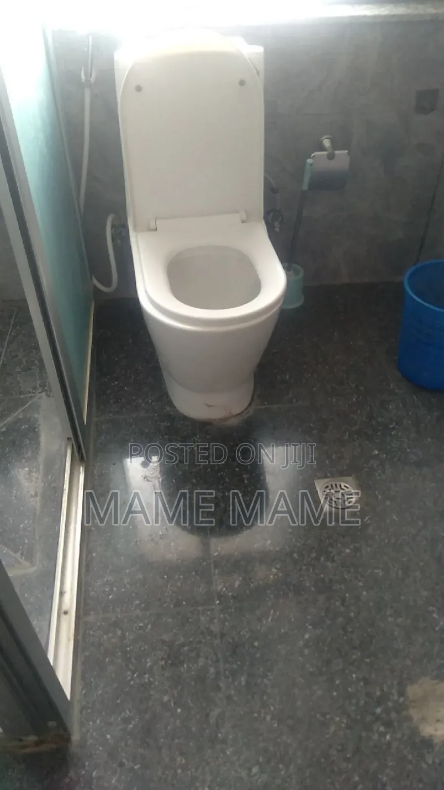 Furnished 1bdrm Apartment in Addis Abeba, Bole for rent