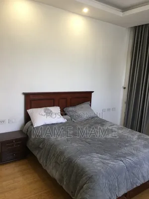 Furnished 1bdrm Apartment in Addis Abeba, Bole for rent