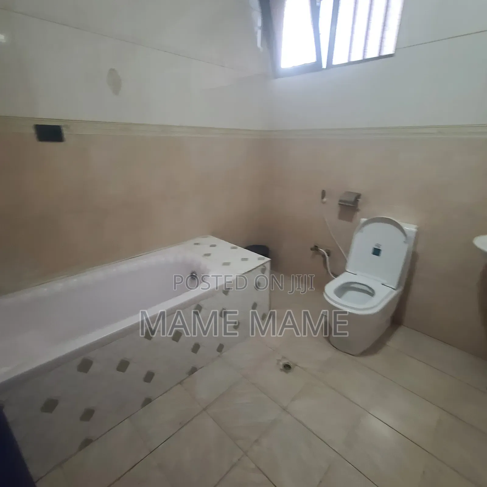 Furnished 1bdrm House in Addis Abeba, Bole for rent