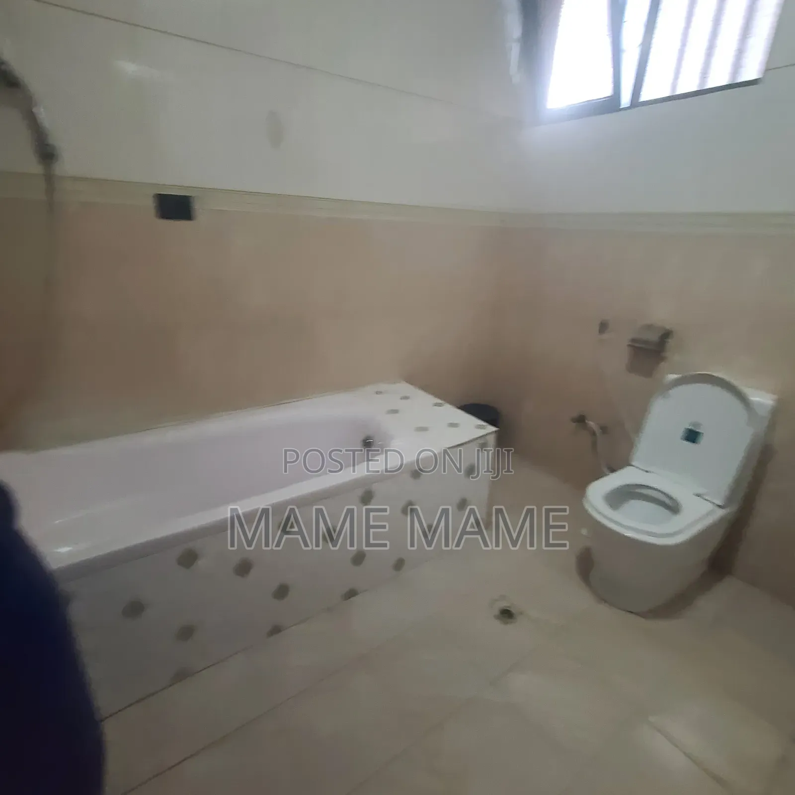 Furnished 1bdrm House in Addis Abeba, Bole for rent