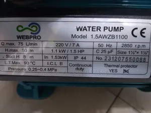 Automatic Buster Pumo 1.5 Hp