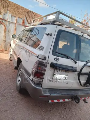 Car for Rent 