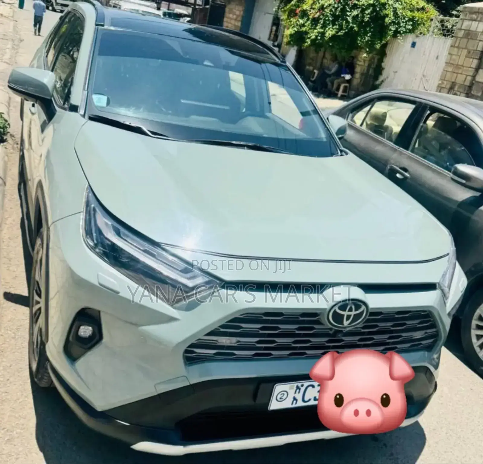 Toyota RAV4 2022 Green