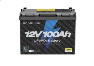 Photo - Ecoflow Lithium Battery/ Price : On Call