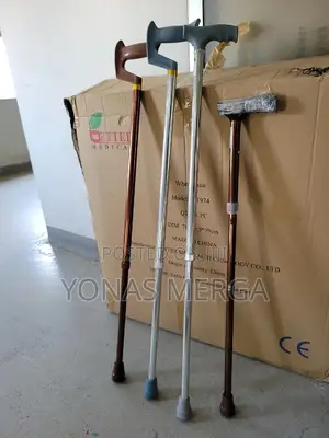 Photo - Quadripod Walking Stick፶睿single Walking Stick 1's聚፰ambitech