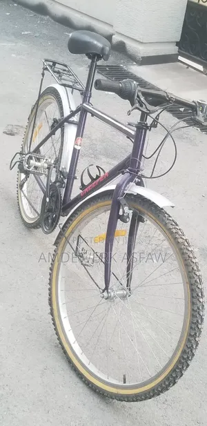 Photo - Bicycle Creeper