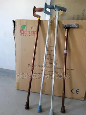 Adjustment Walking Stick፲叒t-Handle Walking Stick Bes-Wa09