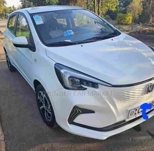 Changan BenBen E-Star 2024 White