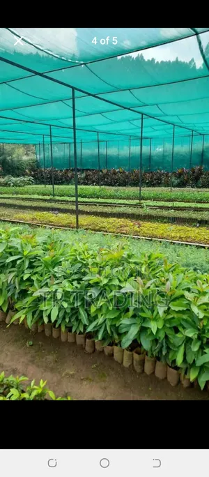 Photo - Shade and Gardening Net