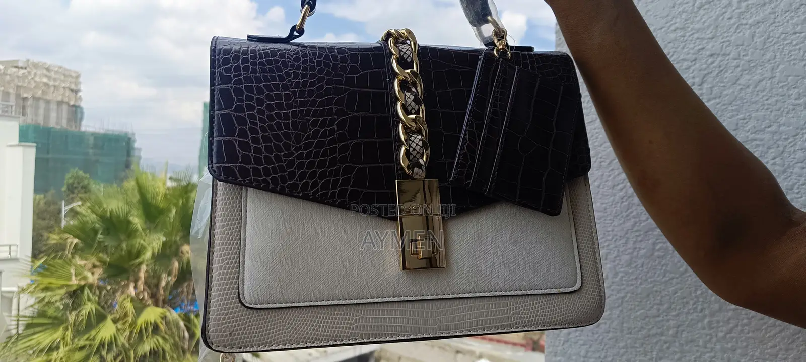 Aldo Handle Bag