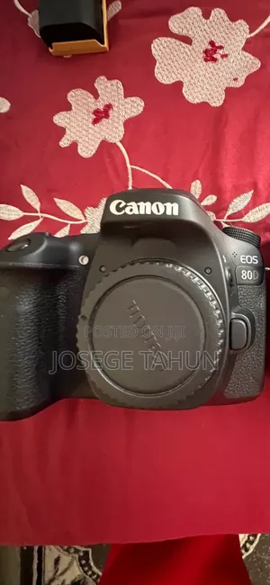 Canon 80d With 18-135 Usm Lens