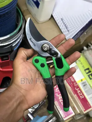 Photo - Garden Scissor