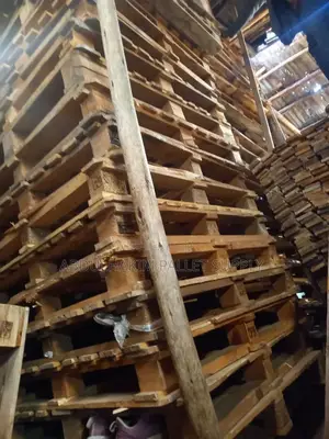 Pallet for Store