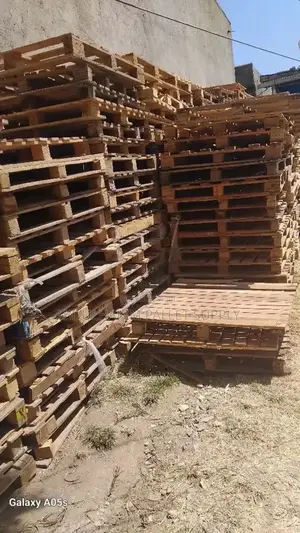 Pallet for Store