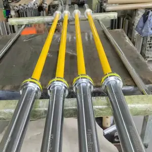 Photo - New Imported Weight Lifting Olympic Bars