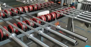 Photo - ዘመናዊ Olympic Bars