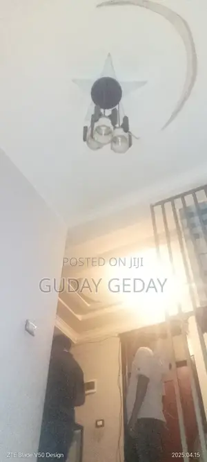 Photo - Furnished 7bdrm Duplex in Akaky Kaliti for sale