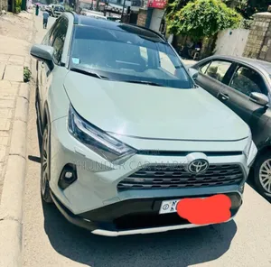 Toyota RAV4 2022 Gray