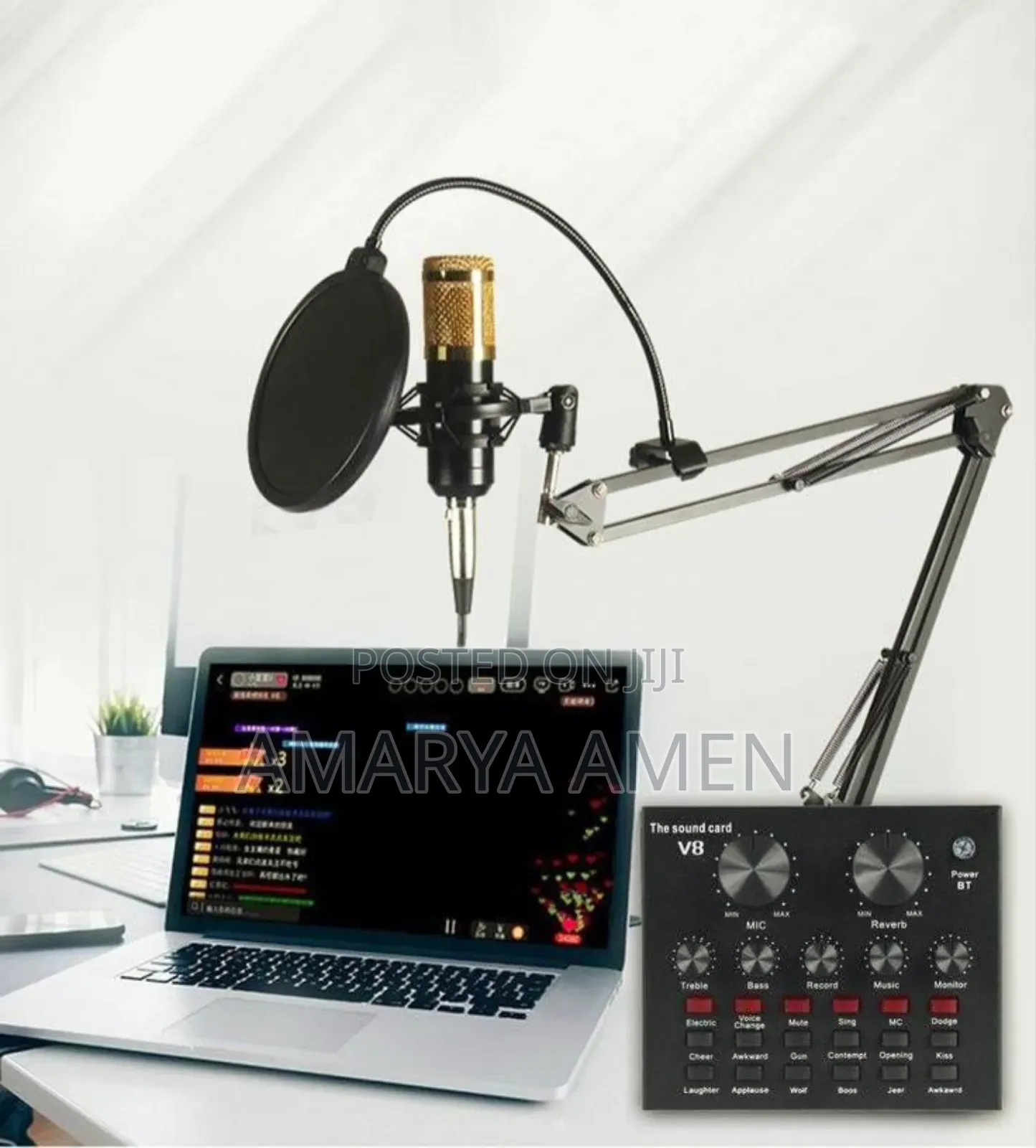 Professional Condenser Microphone