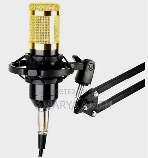 Professional Condenser Microphone