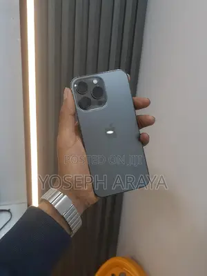 Apple iPhone 13 Pro 256 GB Gray